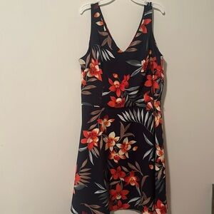 DB Established 1962 floral dress. Size 14 mid length. Business office attire.